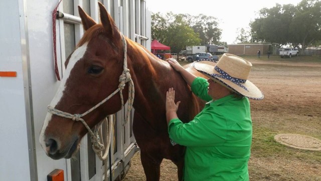 Ali is trained in Bowen therapy, shiatsu and acupressure. We have a on farm Equissage as well.